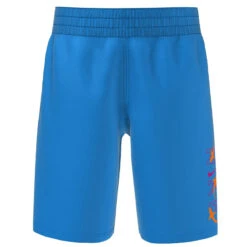 Nike - Logo Lap 6" Volley Short (Photo Blue) -Nike Swim Equipment Discount Store nike logo lap 6 volley short photo blue 3