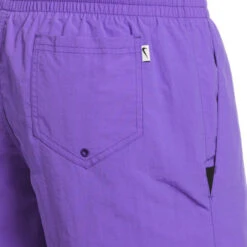Nike - Men's Swim Solid Icon 5" Volley Short (Psychic Purple) -Nike Swim Equipment Discount Store nike mens swim solid icon 5 volley short psychic purple 6